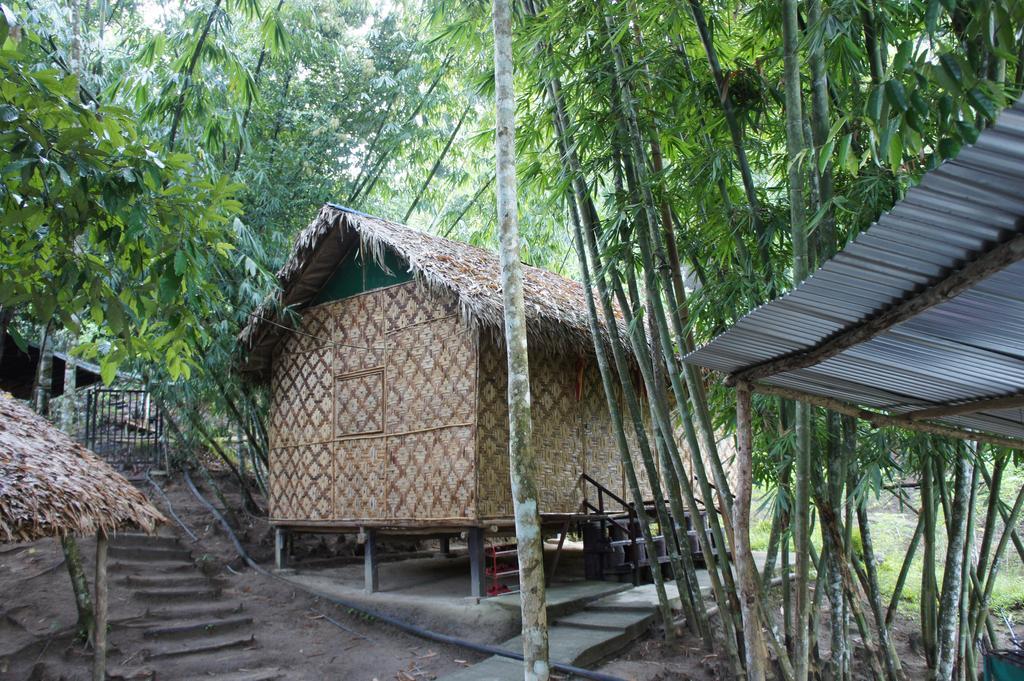 Rain Forest Inn Ringlet Kültér fotó